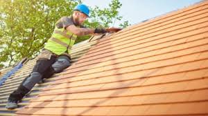 Best Roof Moss and Algae Removal  in Grand Marais, MN
