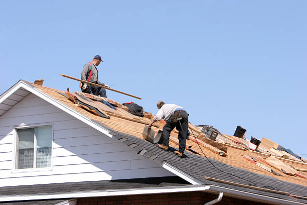 Best Solar Panel Roofing Installation  in Grand Marais, MN